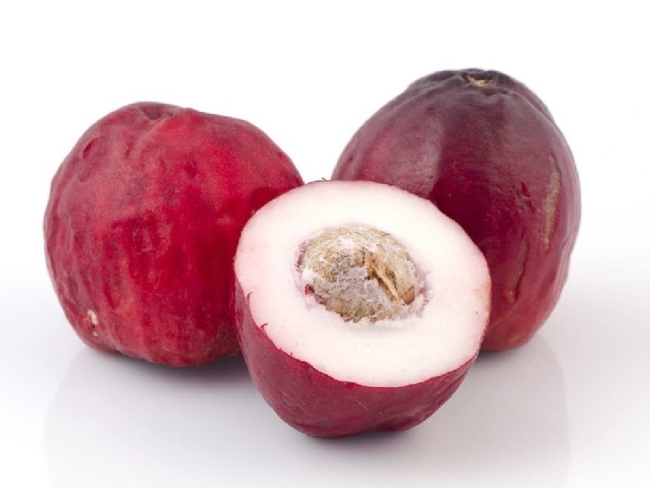 Cây Mận trái đỏ