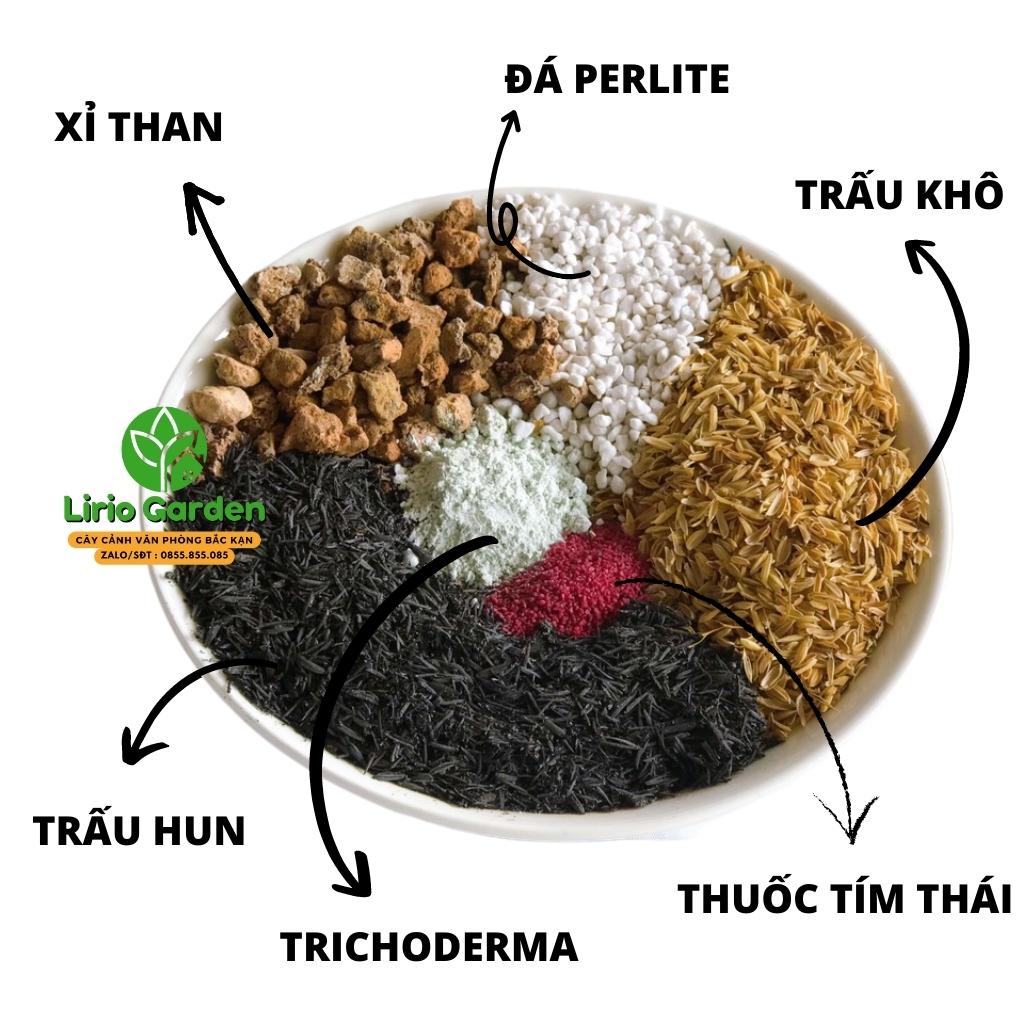 500g Đất trồng sen đá , đất trồng cây xương rồng
