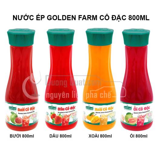 Nước Côt Goldenfarm 800ml Hương Vị Trái Cây Tự Nhiên