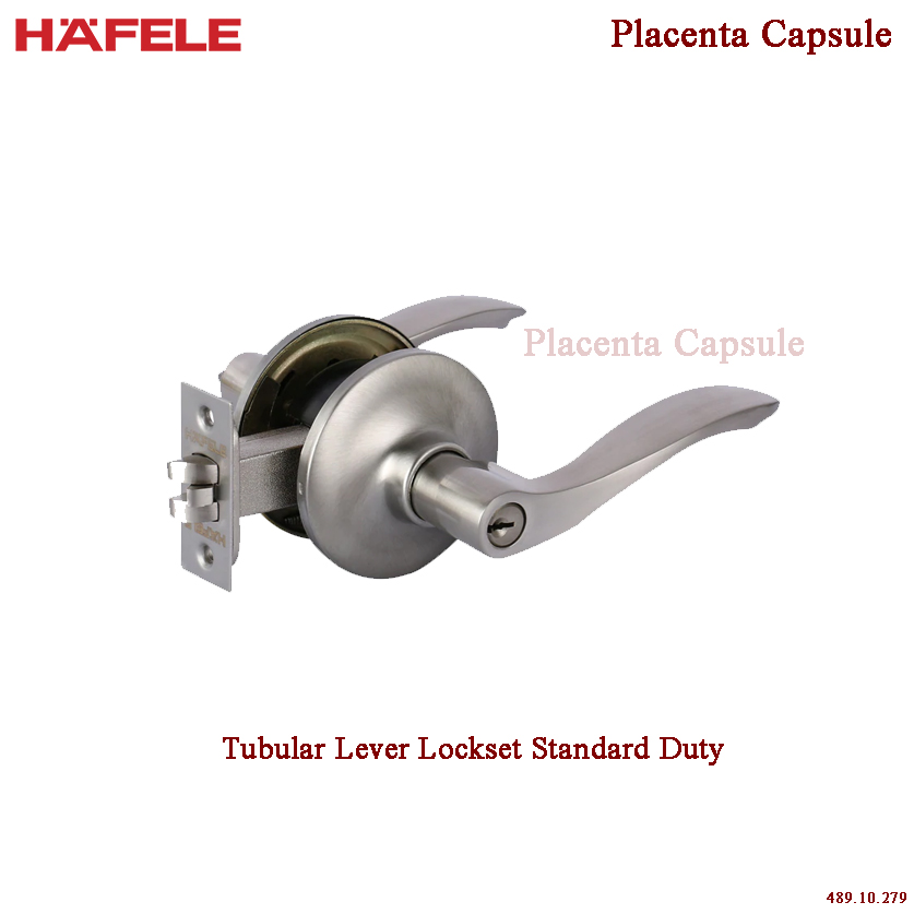 Hafele Tubular Lever Lockset Standard Duty Lazada PH