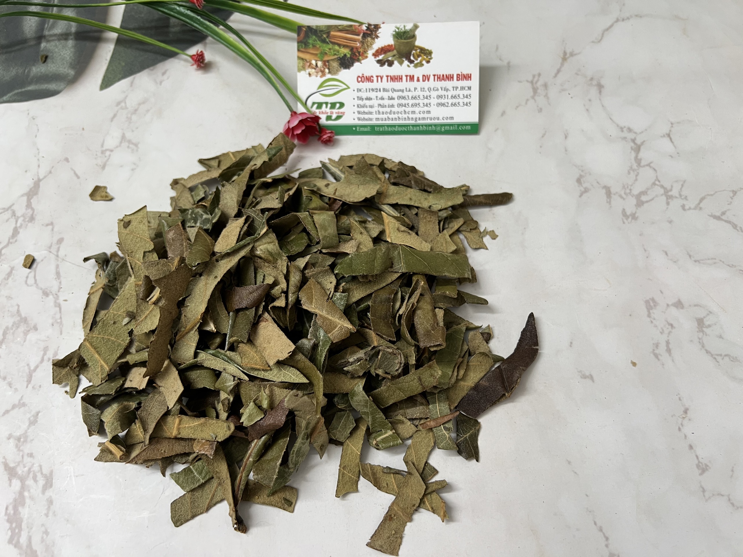 Tỳ Bà Diệp 100G - Hàng Công Ty Thảo Dược Thanh Bình