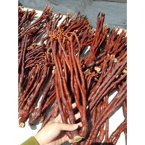 [Freeship] Nấm linh chi Sừng Hươu ( Đặc Sản Vùng Cao )