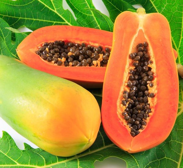 Hạt giống đu đủ ruột đỏ - gói 10 hạt