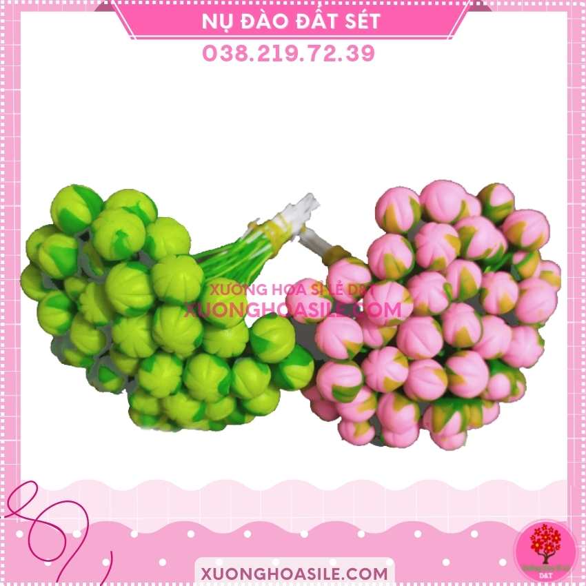 [HCM]NỤ ĐÀO GIẢ, NỤ ĐÀO ĐẤT SÉT