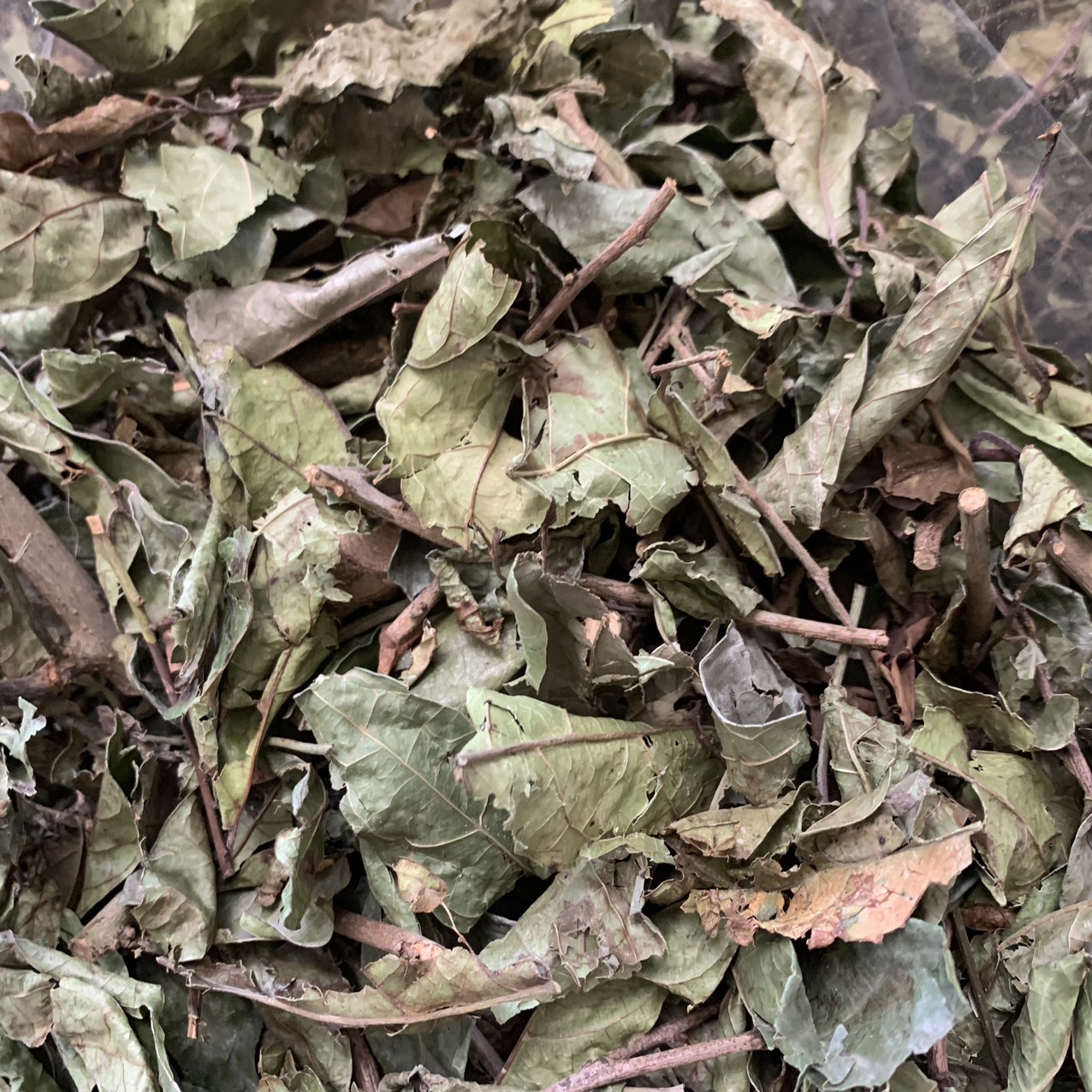 Cây xạ đen - Cây xạ đen Hòa Bình 1kg