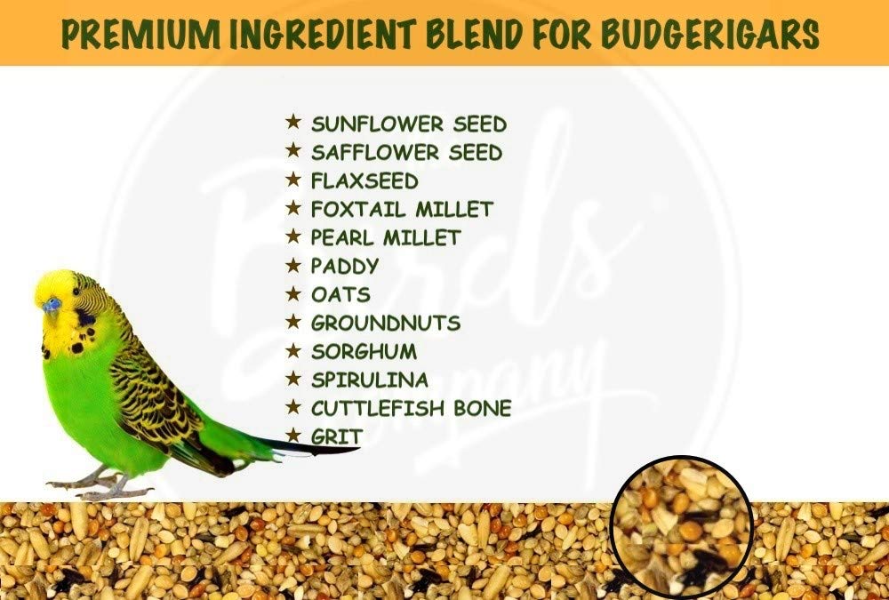 Thor Natural and Healthy Seed Mix Bird Food For All Life Stages ...