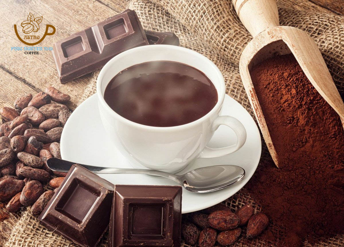 (Freeship) Gói 25 gram Bột Ca Cao Nguyên Chất (Astro CoCoa Powder)
