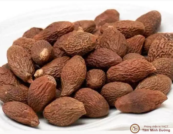 500g Hạt Đười Ươi Phan Rang Siêu Ngon-đồ ăn vặt