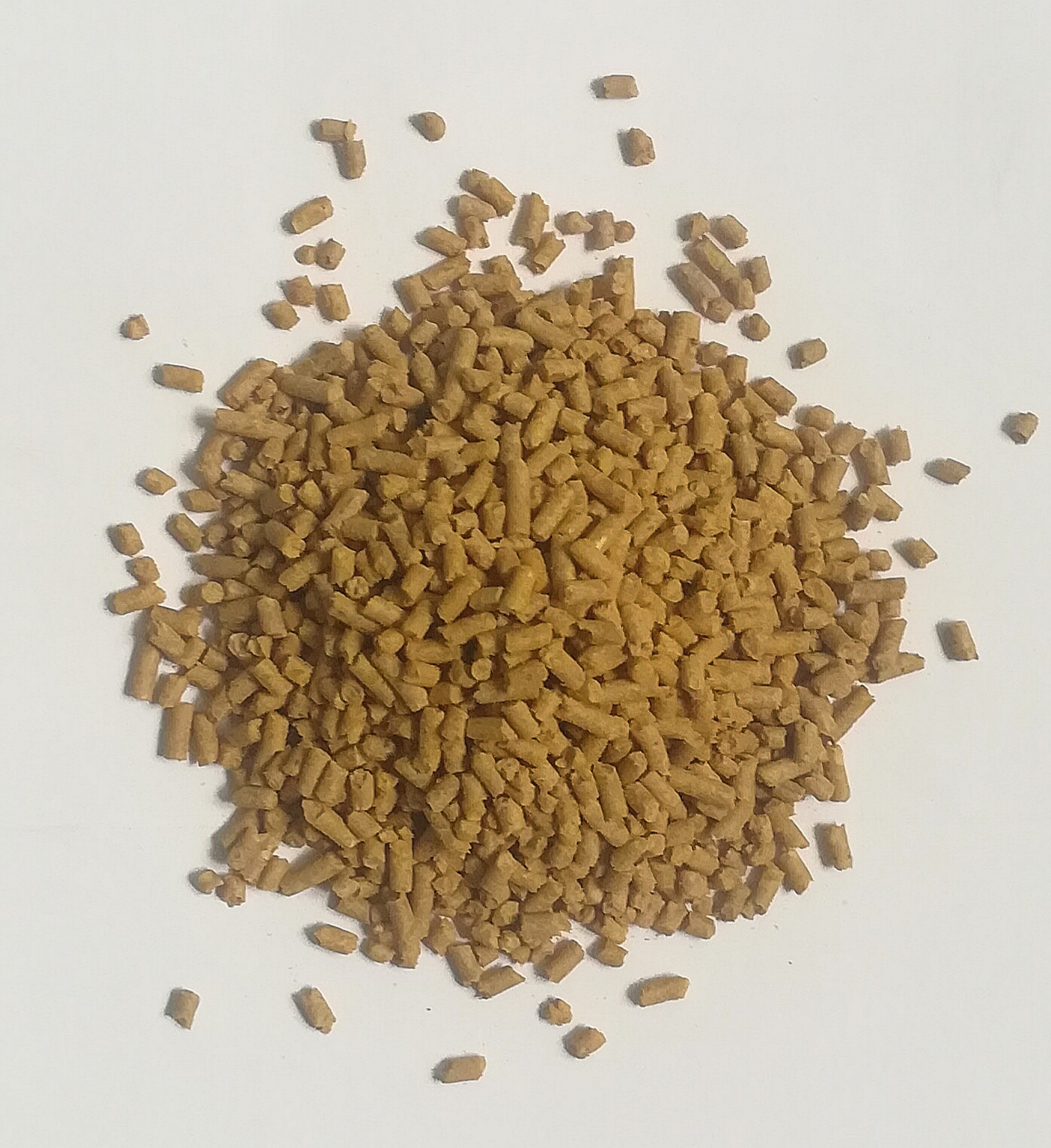 500gr Cám Chim ( Cám trứng )