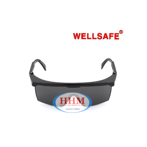 Kính bảo hộ Wellsafe SS416 màu đen