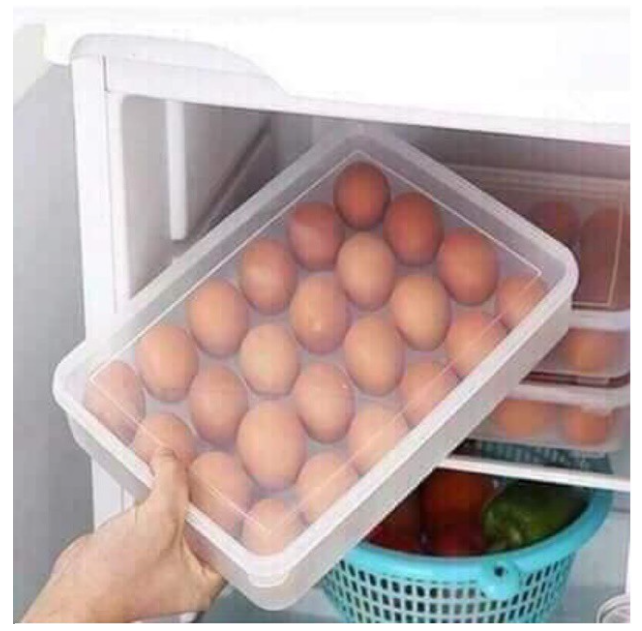 KHAY ĐỰNG TRỨNG BỎ TỦ LẠNH 24 Ô VIỆT NHẬT ( SIÊU GIÁ RẺ )