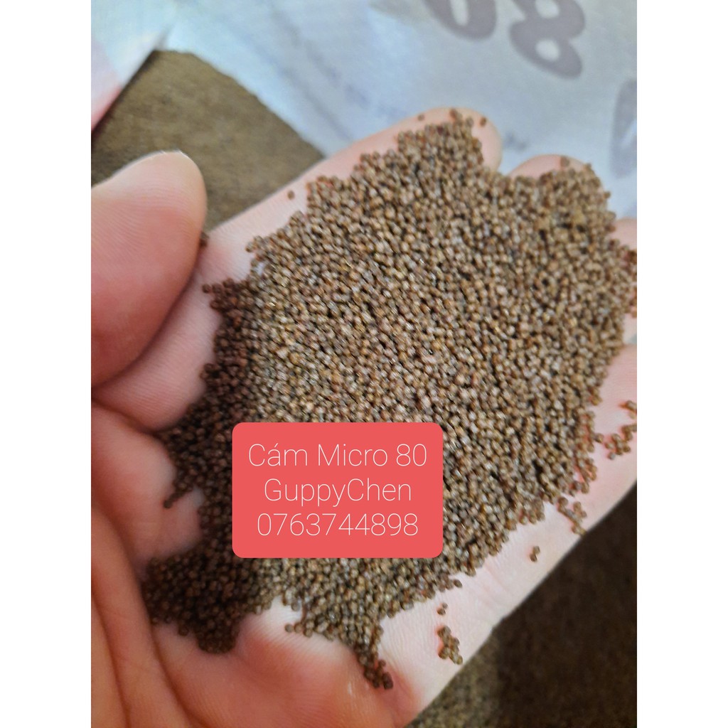 Cám Tomboy Hạt Nổi Micro 0- Micro 80 - Thức Ăn Cho Cá Cảnh