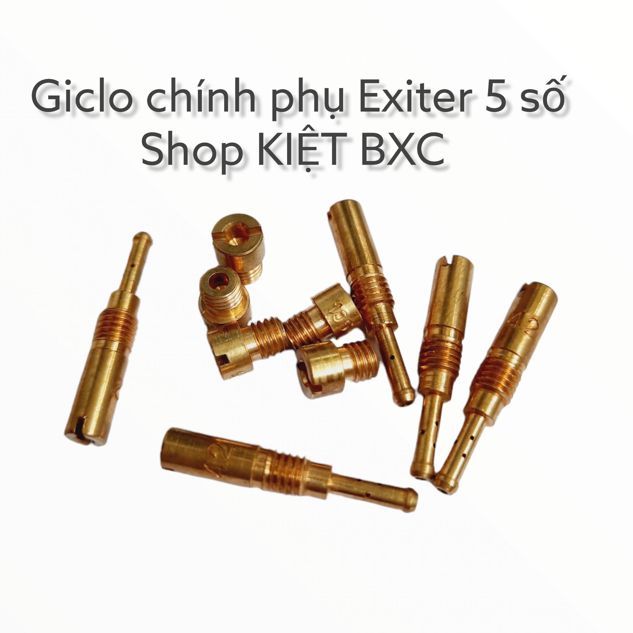 GICLO XĂNG BỘ CHẾ EXITER 5 SỐ (BÁN LẺ)