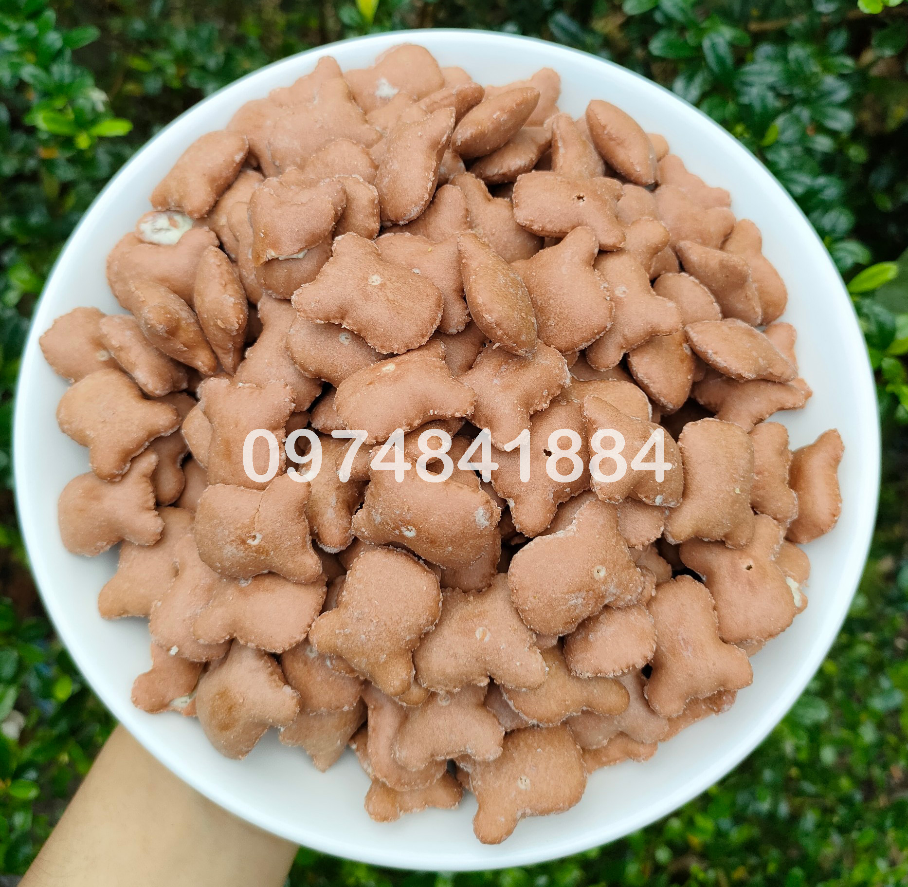 500g bánh gấu socola nhân kem - đồ ăn vặt - bách hóa online uy tín