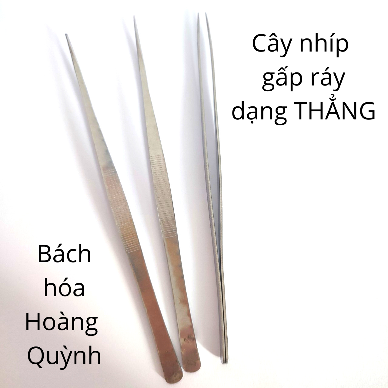 Cây nhíp gấp ráy tai Thanh Sơn.