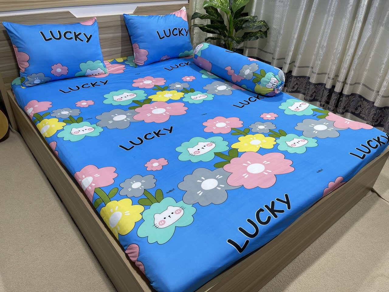 BỘ DRAP GA THUN (HOA LUCKY) 4 MÓN