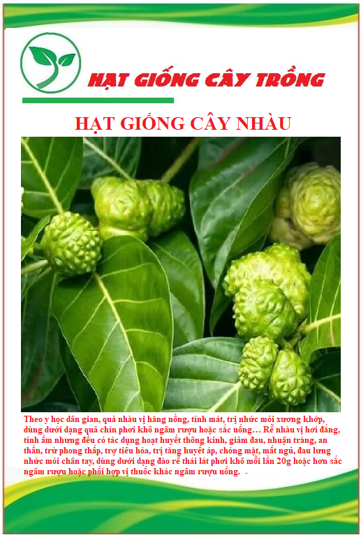 Hạt giống cây nhàu - Gói 50 hạt