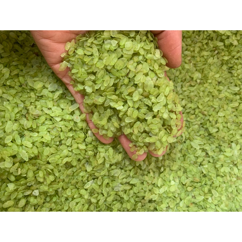 1kg CỐM XANH KHÔ LÀNG VÒNG THƠM NGON BỔ DƯỠNG