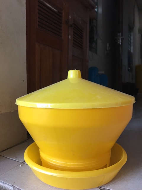 Máng indo/ máng tập ăn gà con