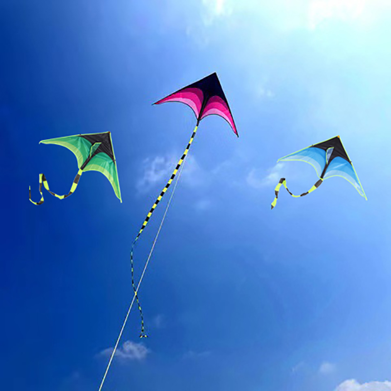 Large%20Delta%20Prairie%20Kites%20Flying%20Toys%20For%20Children%20Kites%20Handle%20Line%20Outdoor%20Sports%20Kites%20Plaid%20Professional%20Wind%20Kites%20AITENG%20-%20Image%203