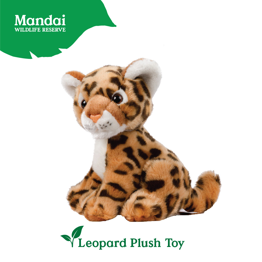 Leopard Cheetah Plush Toy Stuffed Big Cats Animal Realistic Details  Textures Good Sleeping Buddy MANDAI WILDLIFE RESERVE | Lazada Singapore