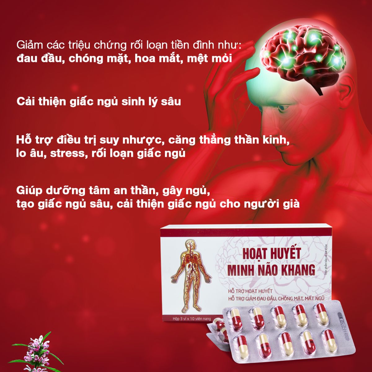 Hoạt huyết minh não khang - Dân Khang