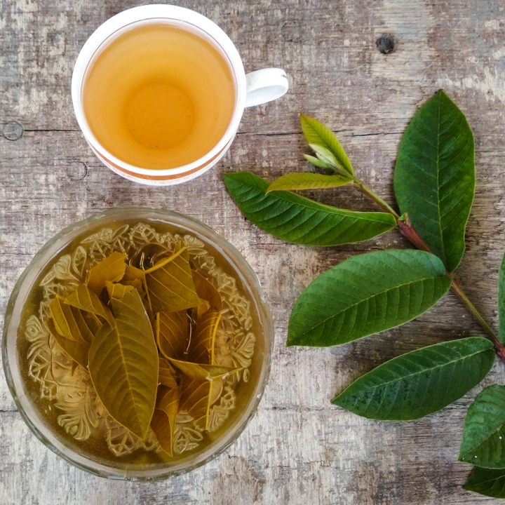 Lá Ổi 500g - Hàng Công Ty Chất Lượng