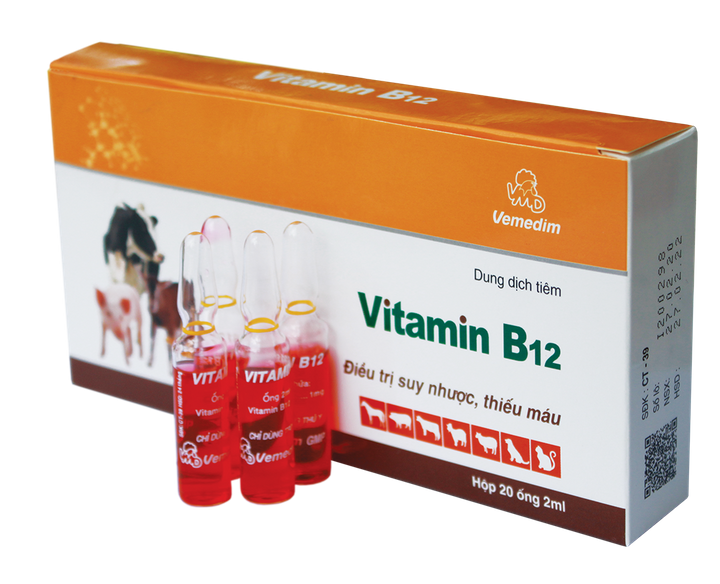 Vitamin b12 2ml hộp 20 ống