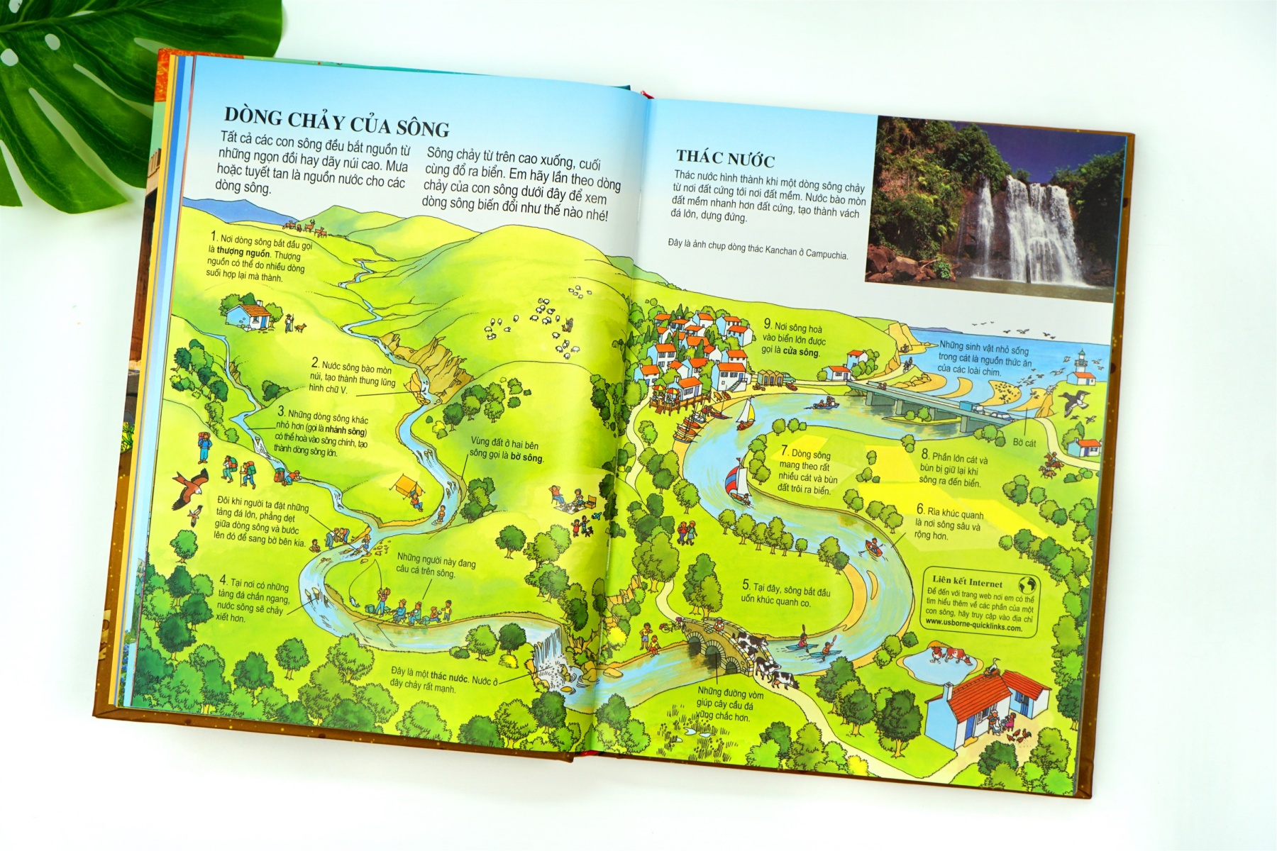 [NHẬP MÃ LAZSOCIAL50K]  Sách Thiếu Nhi – Bách Khoa Tri Thức Dành Cho Trẻ Em – Đinh Tị