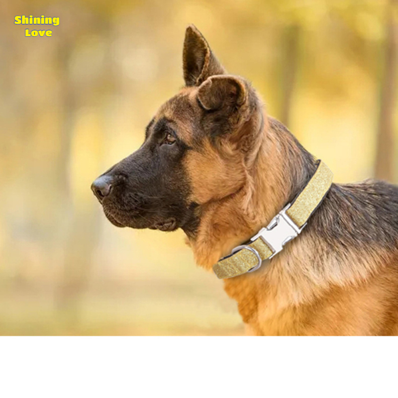Amzplus Pet Dog Collars Bling Dog Bow Tie Collar Cute Girl Dog Collar With  Safety Metal Buckle For Small Boy Girl Dogs Cats Neck Fit 9-12