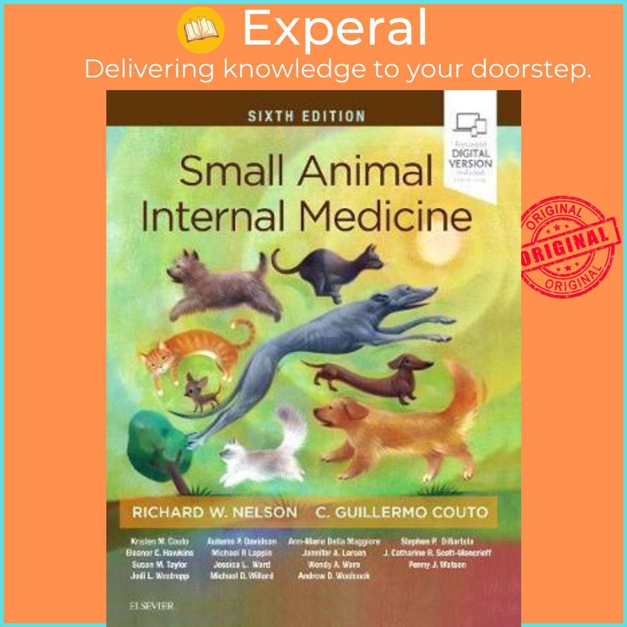 Small Animal Internal Medicine by Richard W. Nelson (US edition, hardcover)  | Lazada Singapore