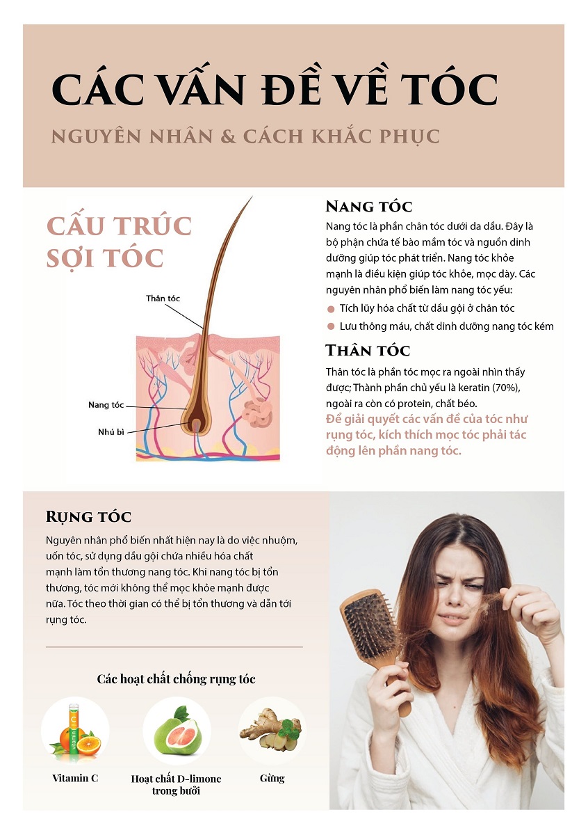 Combo Dầu gội và Dầu ủ tóc Aotanica
