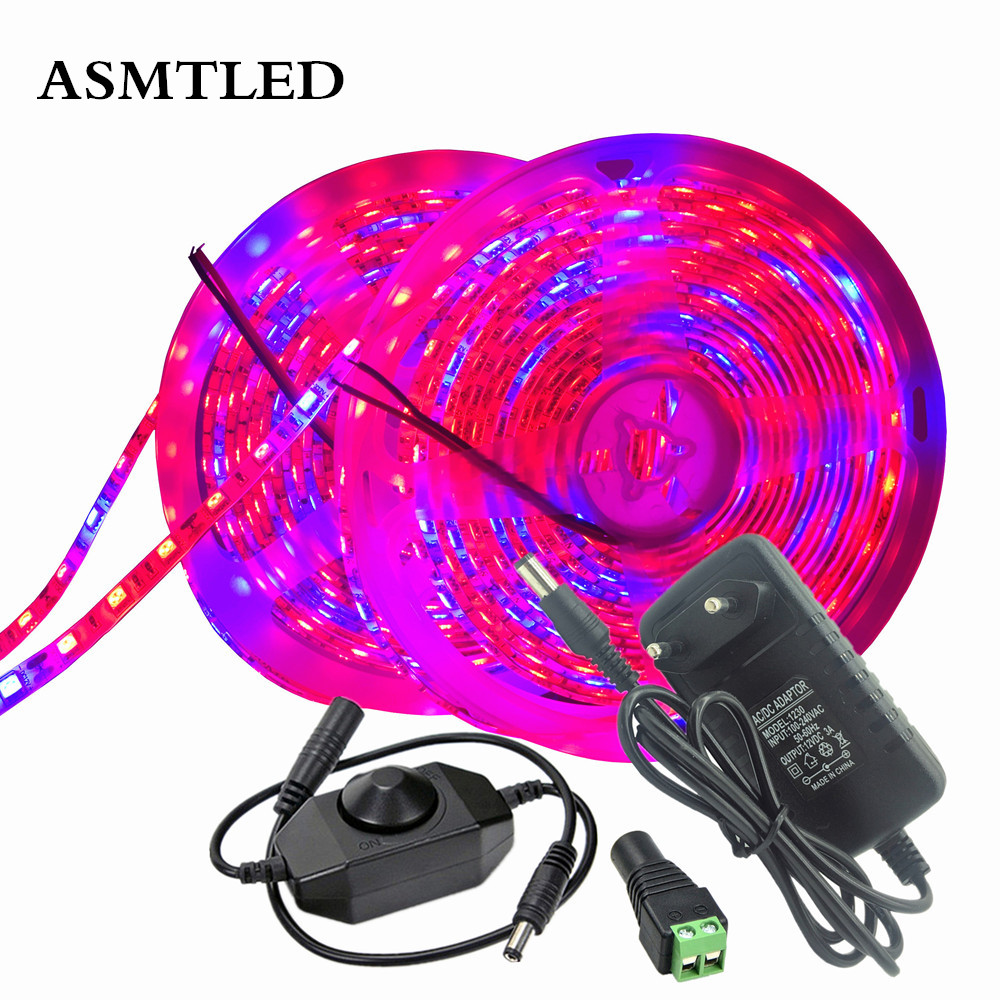 5050 Led Grow Full Spectrum Phyto Strip Lamp 1-5m 10m Red Blue Plants ...