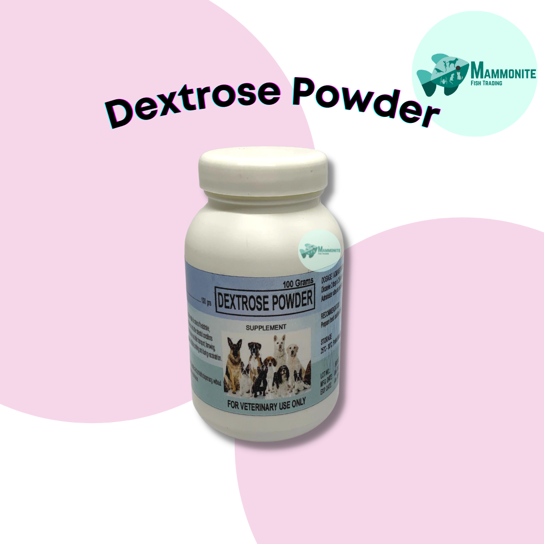 Pet Dog Cat Dextrose Powder Supplement Rehydration First Aid Lazada PH