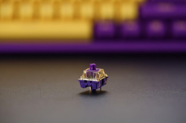 Công tắc phím cơ - Switch DareU Violet Gold (Tactile) - Blue Sky (Linear) - Verion 2