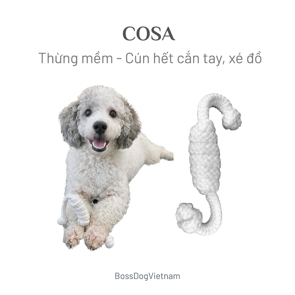 [HCM]Dây thừng mềm huấn luyện Cosa - Đồ chơi cho chó | BossDog