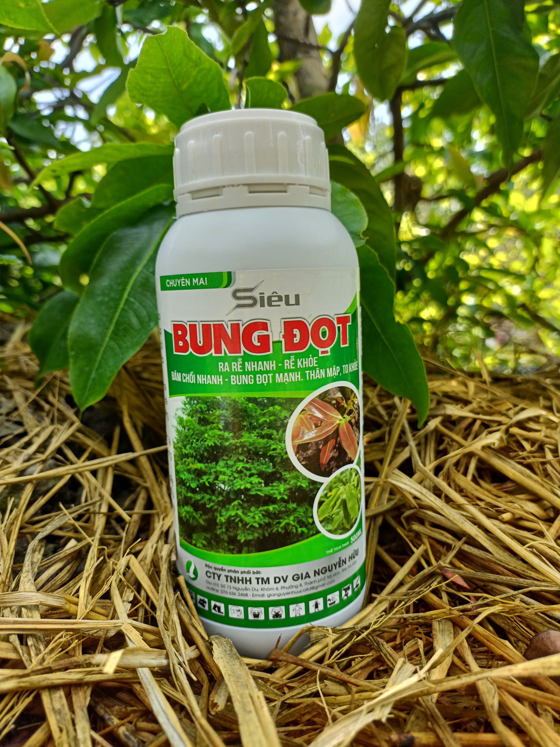Siêu bung đọt mai chai 500ml