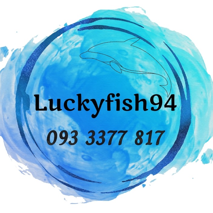 [Freeship+HCM+Luckyfish94] FUNGUS CURE HỖ TRỢ CHO CÁ CẢNH 1 GÓI A334