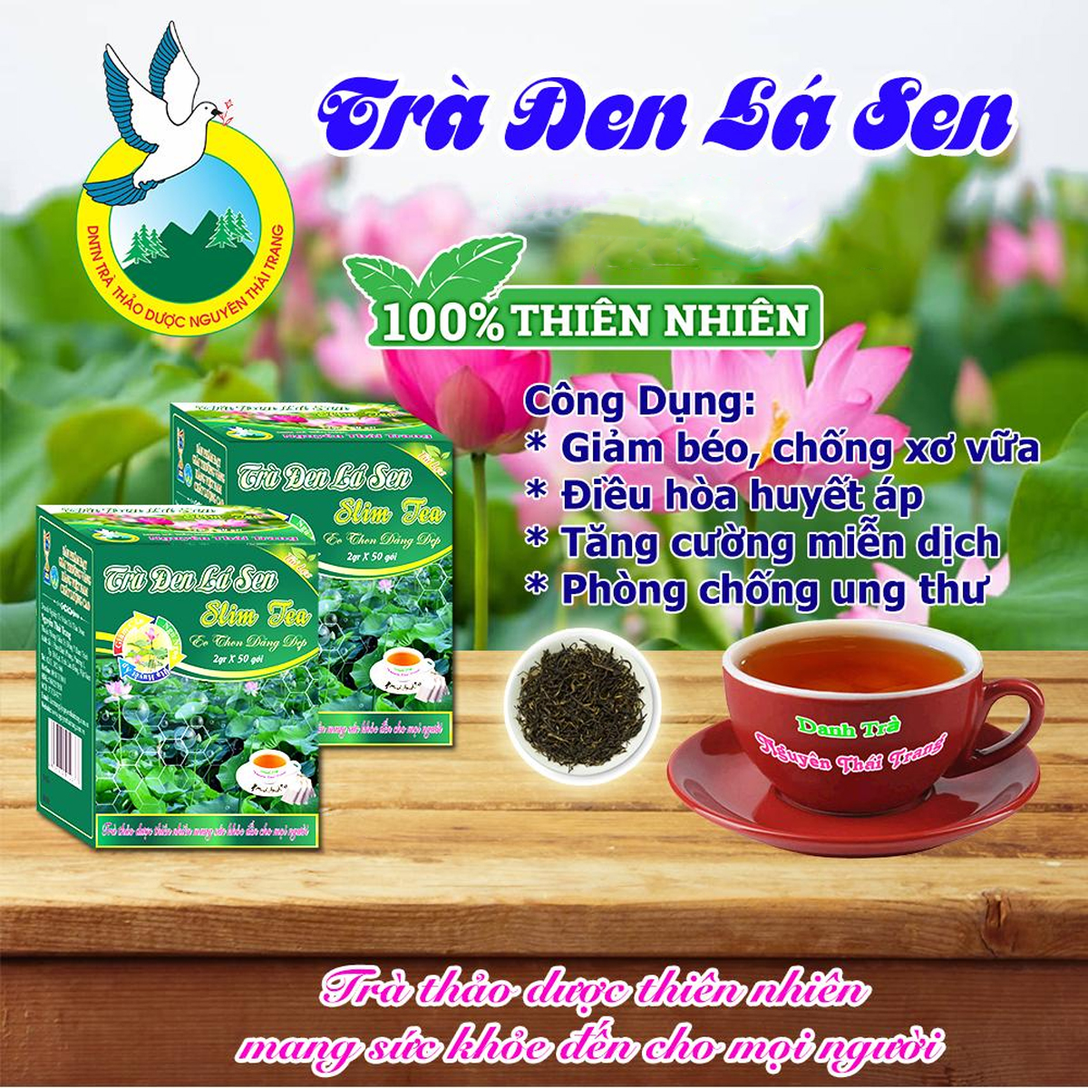 TRÀ ĐEN LÁ SEN SLIM TEA NGUYÊN THÁI TRANG