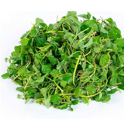 Hạt Giống Rau Dền Cơm (10gr)