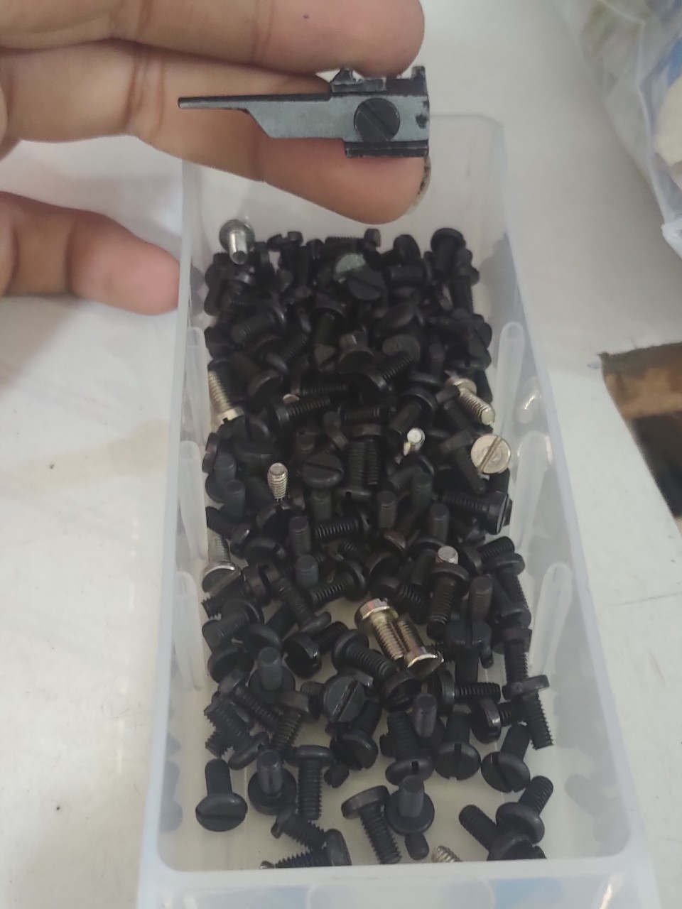 ốc bát dao trên vắt sổ