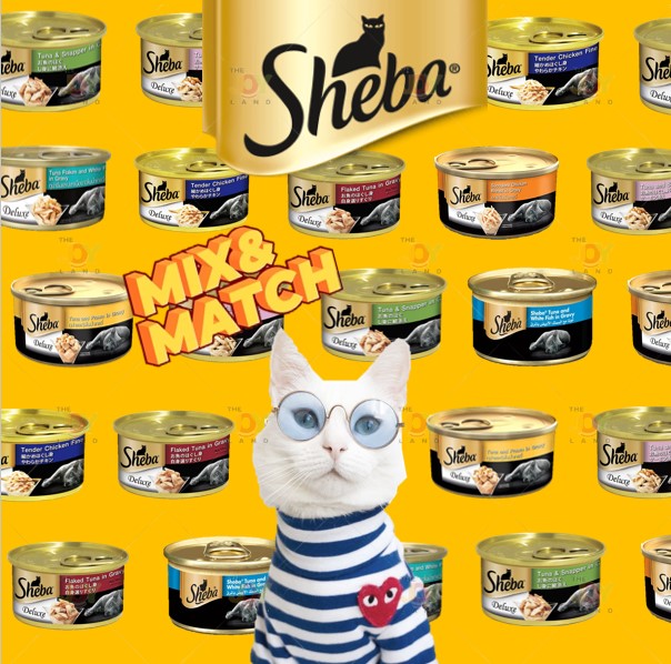 sheba cat food for kittens