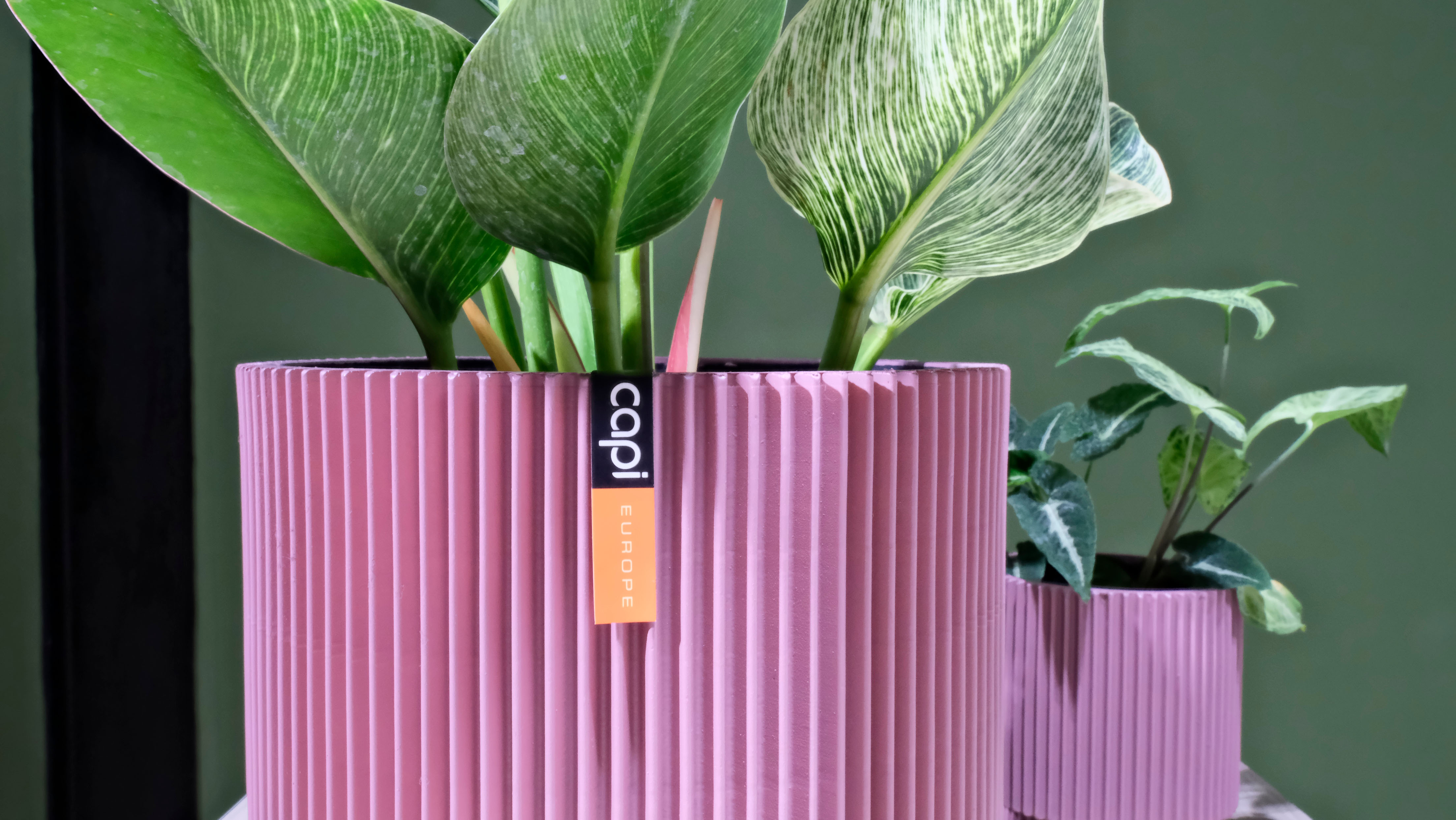 Vase Cylinder Groove Dusty pink (Size D 8 x H 9 cm) กระถางต้นไม้