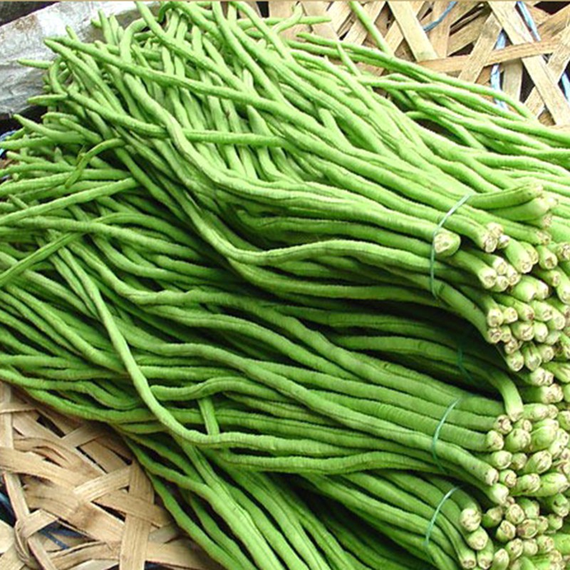 Hạt giống đậu đũa hạt đen (đậu đũa móng chim) - gói 20 gram