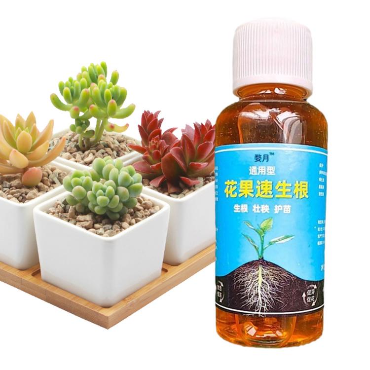Root Enhancer for Plants Fertilizer Solution for Plant Growth Liquid Root Stimulator Root Booster for Plant Flower Transplanting Root Growth Enhancer 1.7 Fl Oz everywhere