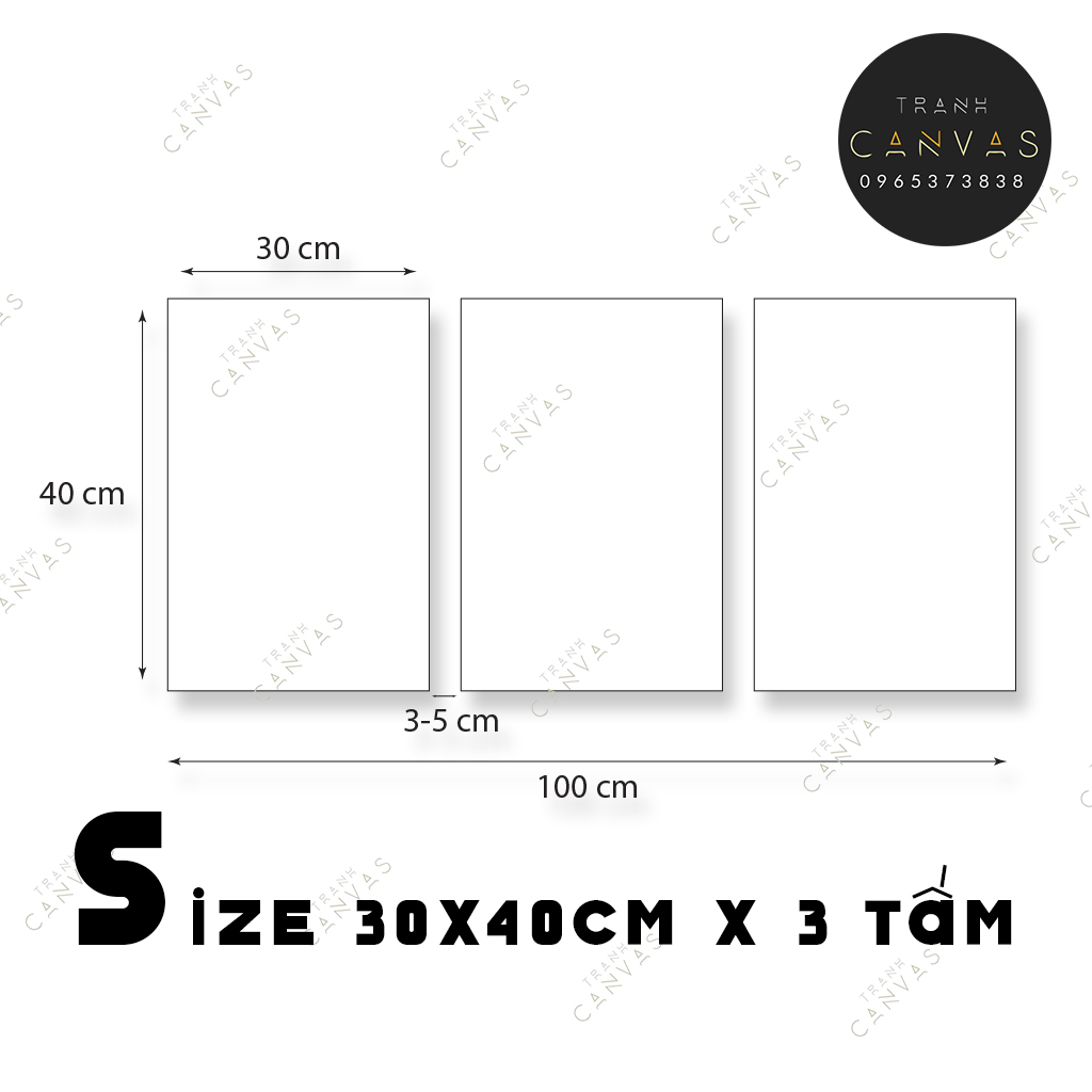 Tranh Canvas Bộ 3 Tấm Chim Công