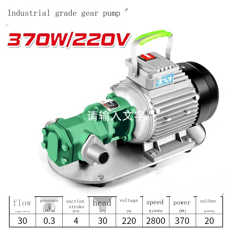 Gear pump selfpriming stainless steel oil pump high viscosity motor
