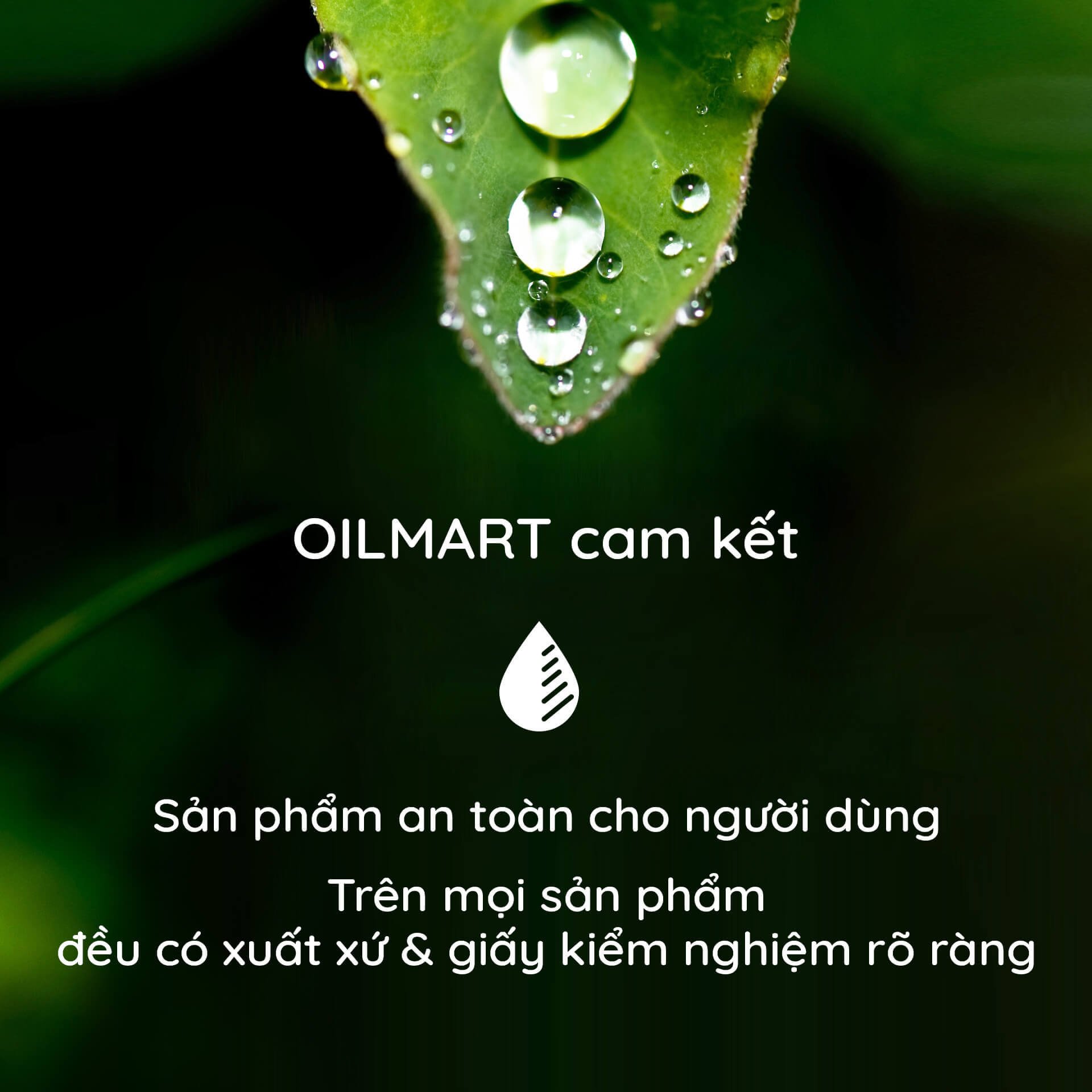 Tinh Dầu Tràm Trà Nguyên Chất Nomad Tea Tree Oils