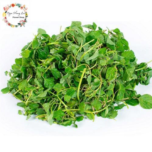 Hạt giống dền vàng, dền cơm - gói 10 gram