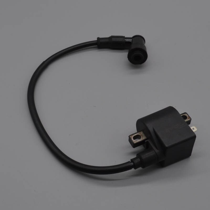 100cc 2 stroke Motorcycle Electronic Ignitor for suzuki AX100 Ignition coil
